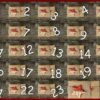 AVENTures de 24 soirs